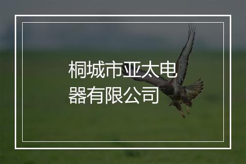 桐城市亚太电器有限公司