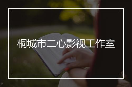 桐城市二心影视工作室