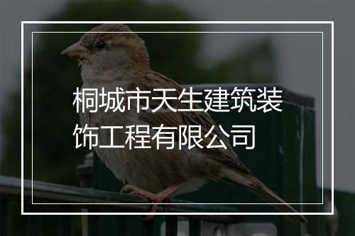 桐城市天生建筑装饰工程有限公司