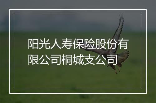 阳光人寿保险股份有限公司桐城支公司