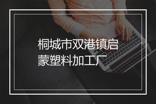 桐城市双港镇启蒙塑料加工厂
