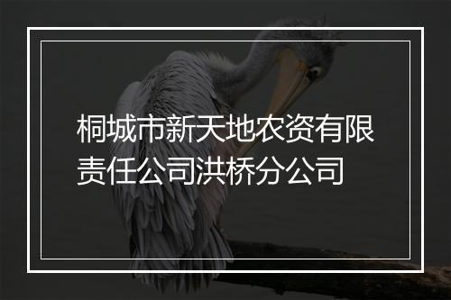 桐城市新天地农资有限责任公司洪桥分公司
