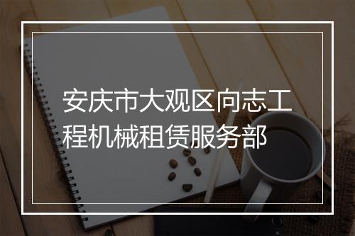 安庆市大观区向志工程机械租赁服务部