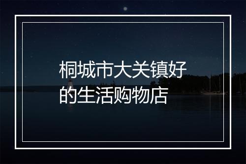 桐城市大关镇好的生活购物店
