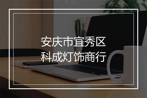 安庆市宜秀区科成灯饰商行