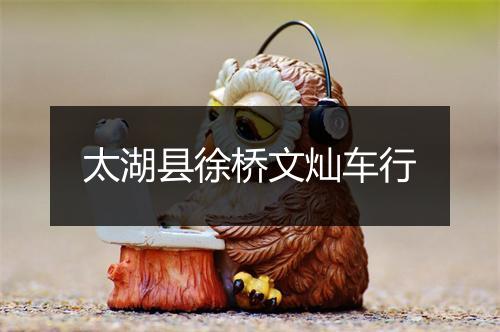 太湖县徐桥文灿车行