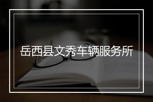 岳西县文秀车辆服务所
