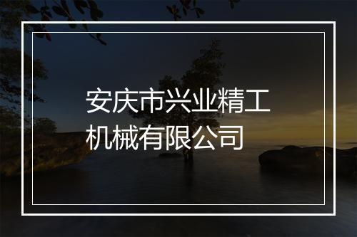 安庆市兴业精工机械有限公司