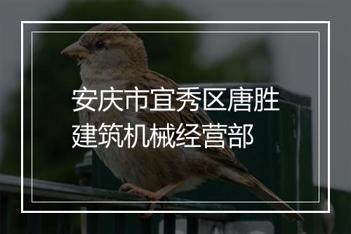 安庆市宜秀区唐胜建筑机械经营部