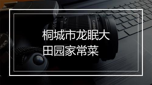 桐城市龙眠大田园家常菜