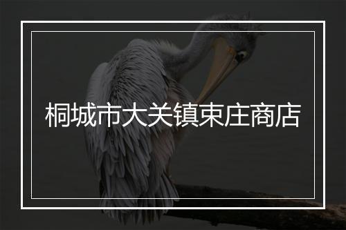 桐城市大关镇束庄商店