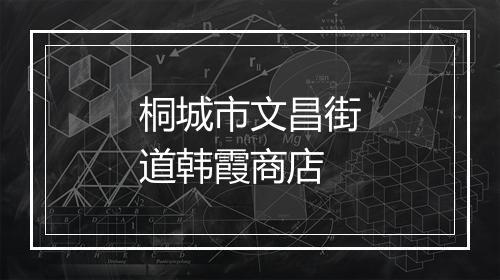 桐城市文昌街道韩霞商店