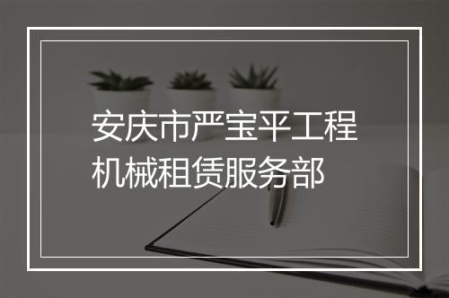 安庆市严宝平工程机械租赁服务部