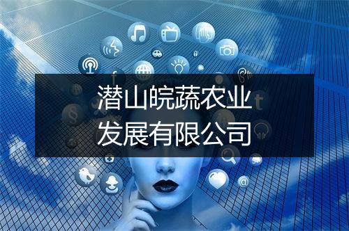 潜山皖蔬农业发展有限公司