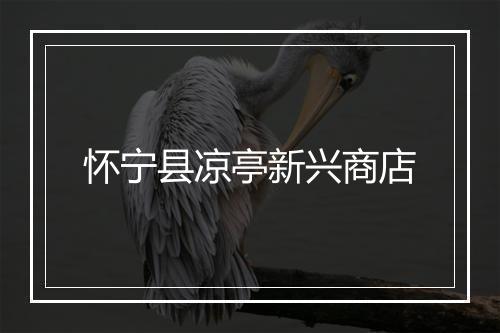 怀宁县凉亭新兴商店