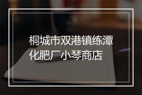 桐城市双港镇练潭化肥厂小琴商店