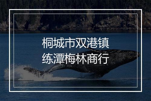 桐城市双港镇练潭梅林商行