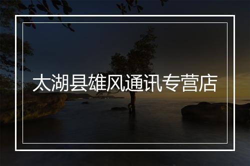 太湖县雄风通讯专营店
