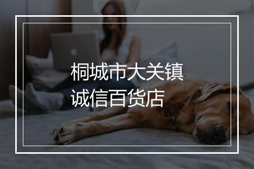 桐城市大关镇诚信百货店