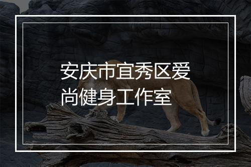 安庆市宜秀区爱尚健身工作室