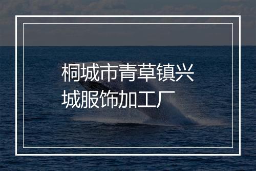 桐城市青草镇兴城服饰加工厂