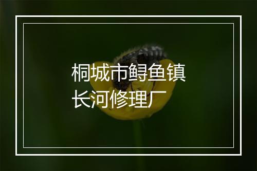 桐城市鲟鱼镇长河修理厂