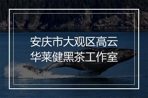 安庆市大观区高云华莱健黑茶工作室