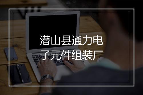 潜山县通力电子元件组装厂