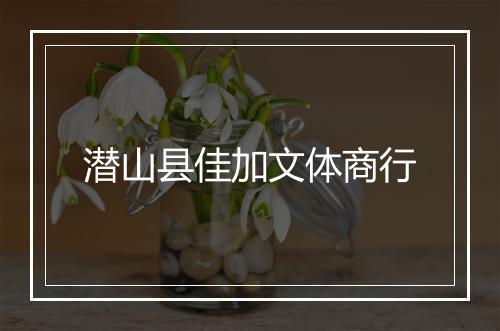 潜山县佳加文体商行