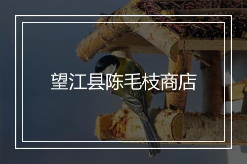 望江县陈毛枝商店