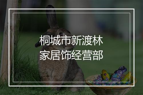 桐城市新渡林家居饰经营部