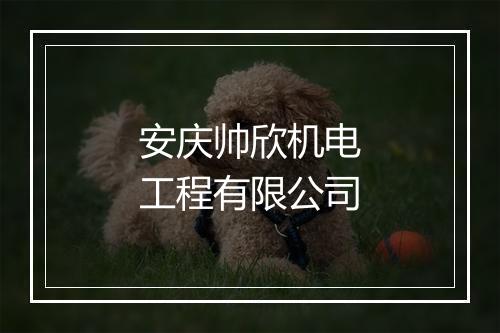 安庆帅欣机电工程有限公司