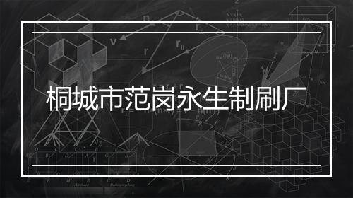 桐城市范岗永生制刷厂