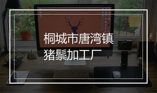 桐城市唐湾镇猪鬃加工厂