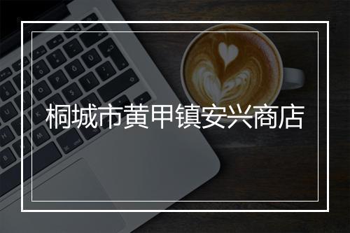 桐城市黄甲镇安兴商店