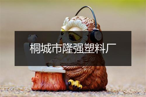 桐城市隆强塑料厂