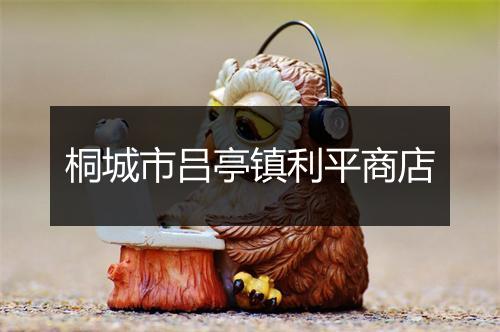 桐城市吕亭镇利平商店