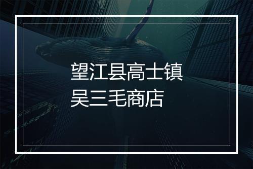望江县高士镇吴三毛商店