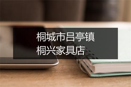 桐城市吕亭镇桐兴家具店