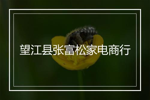 望江县张富松家电商行