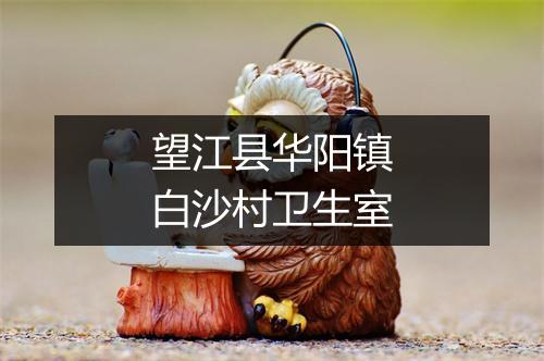 望江县华阳镇白沙村卫生室