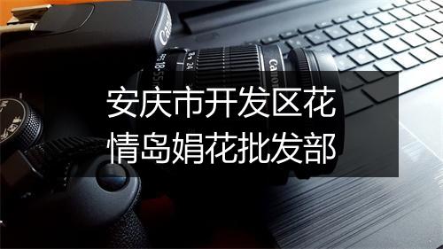 安庆市开发区花情岛娟花批发部
