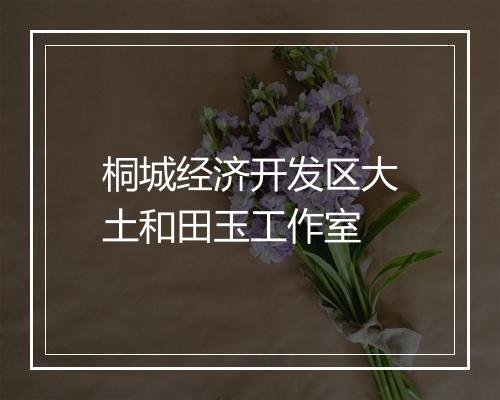 桐城经济开发区大土和田玉工作室