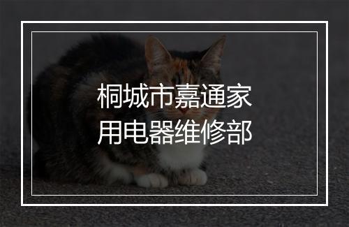桐城市嘉通家用电器维修部