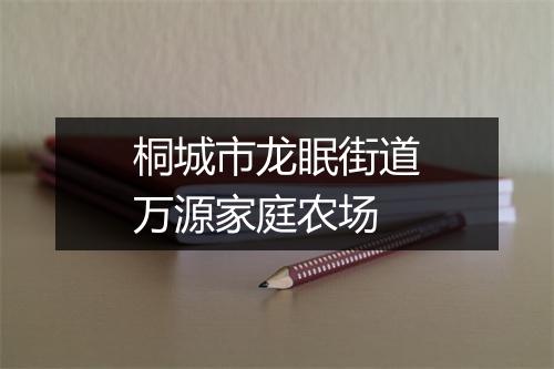 桐城市龙眠街道万源家庭农场