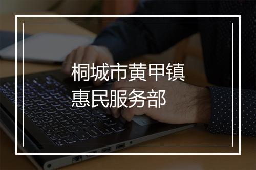 桐城市黄甲镇惠民服务部
