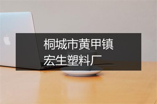 桐城市黄甲镇宏生塑料厂