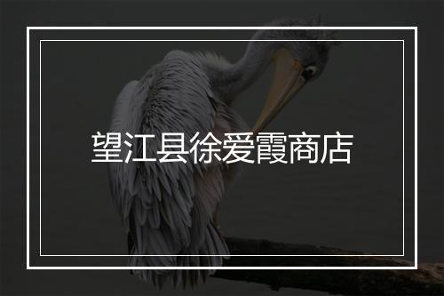 望江县徐爱霞商店