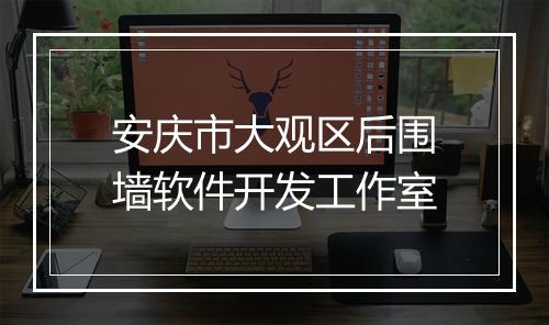 安庆市大观区后围墙软件开发工作室