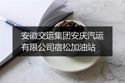 安徽交运集团安庆汽运有限公司宿松加油站